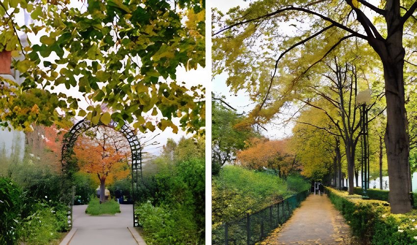 Promenade Plantée to visit in Paris