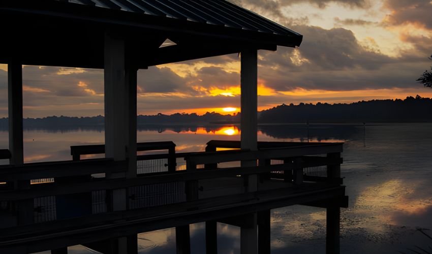 Dunnellon to Ocala Distance