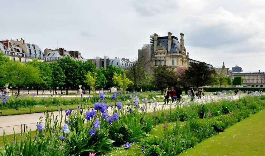 Jardin des Tuileries Garden