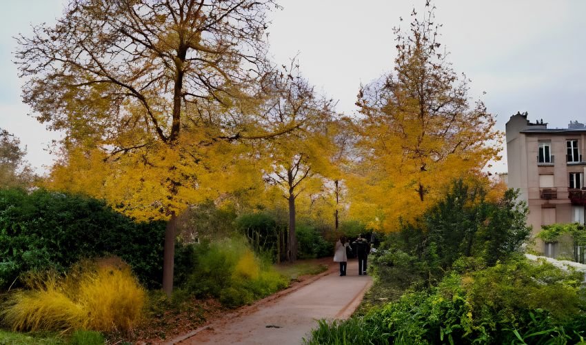 Promenade Plantee