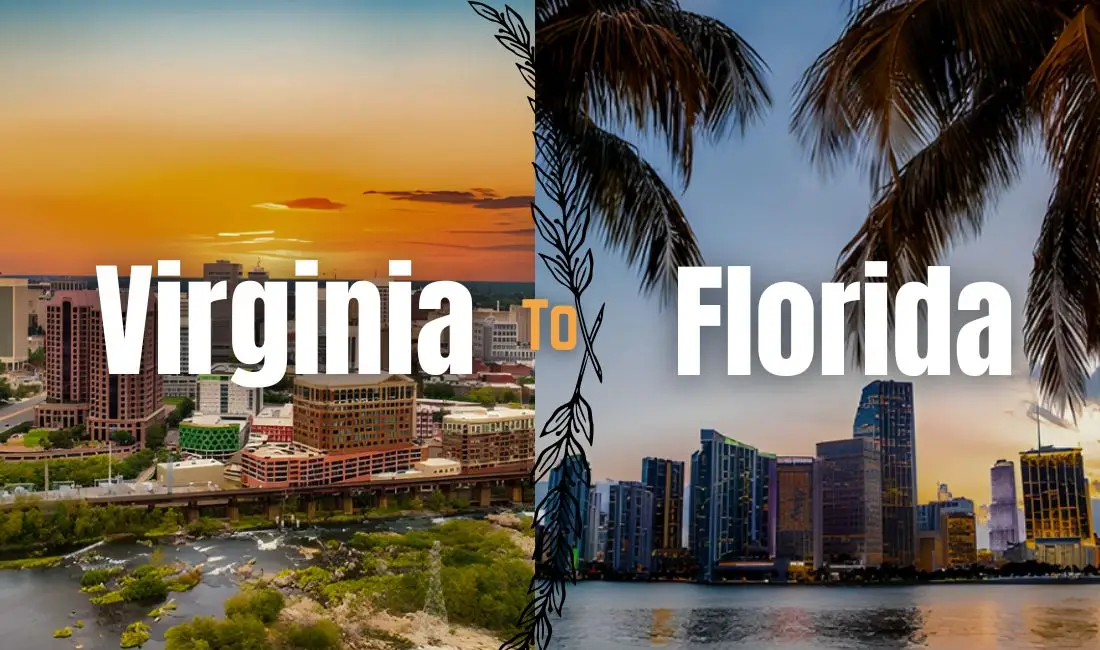 Read more about the article How Far Is It from Virginia to Florida? Miles by Car, Plane, and Other Routes